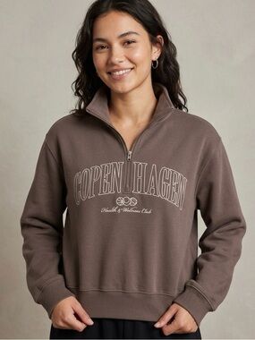 Hollister Brown Zip-Up Sweater